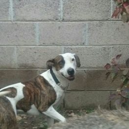 D 13eecef6 5e1e 44b6 87e3 f08b5fac64a5