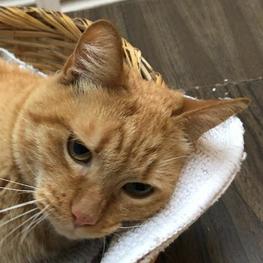 D bfc771f0 f2c2 4ed7 9112 6d162a2ff716