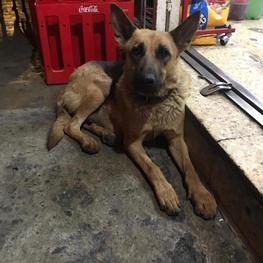 D e30840b3 3752 4e92 a84f 678993ae3ac8