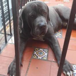 D 0e7c1ee1 5608 4155 bc64 7660719dfbcf