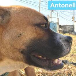 D 6a251958 c5f7 454d 8492 aea6635cc999