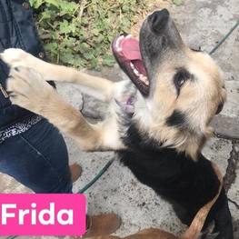 D c994a52e 453a 4069 b00d 366cd680aa35