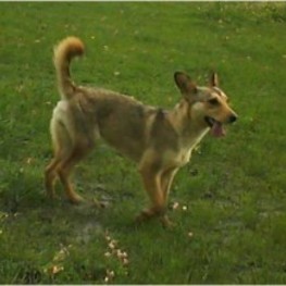 D 482fce60 f872 4be6 94b2 bae077913e54