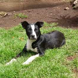 D add305da c8c7 4362 9849 86562c567cfc