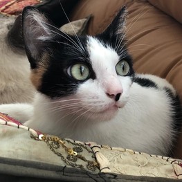 D 4b6683ec 48bb 42ec b77b e7a4a17227f2