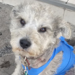 D c4353313 0407 4459 86f8 d9a68dcad900