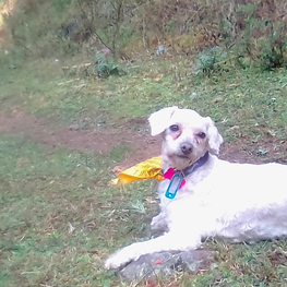 D 0b655a20 f659 45da b1ac c11d74b17476