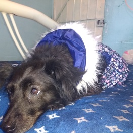 D 1958c42b 5a29 4c9d 8c81 e40a4d51793f