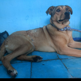 D 947f4c3a 05e2 470f 886f e2244ed7ba8e