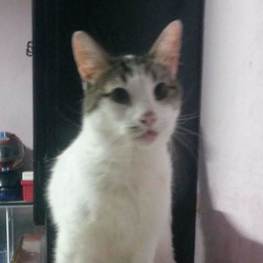 D 030943f9 09de 4624 ae5c 10619077dace