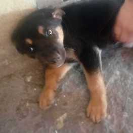 D facfca58 53f1 4f0b b286 5375389032cd