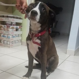 D 8d069c28 5f14 470f b616 76626a2044ce