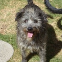 D 114f9101 bdbe 4d13 96a8 54d0d80603a4