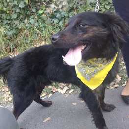 D 18127f7c 486d 48e9 b242 b45f342a255c