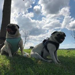 D 55780372 7336 4062 a3a8 f68b45aaae6f