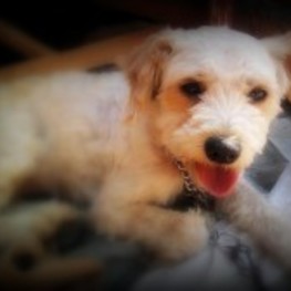 D 81212416 4630 4fe1 9af1 e08e17527b5a