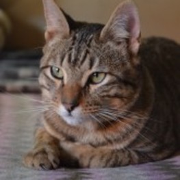 D 7ea62ebf 20ad 4cfd a075 8db12a260be9