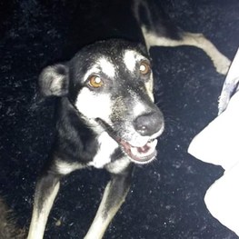 D 3269707a 950b 4d71 a65e 725e4fde2d86