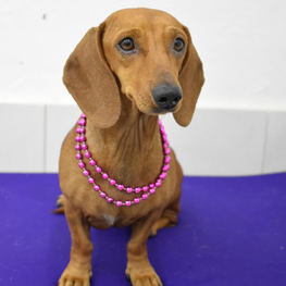 D d6563872 7808 42ef b725 8f08704466b8