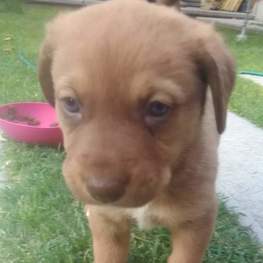 D e8b22b9c 34c0 4366 accc 9219633dc6d2