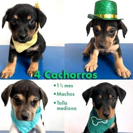 D 14d78f81 5945 4910 b91e 3bf8c575bfe3