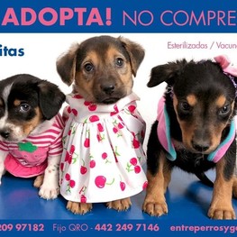 D 7ac9173c 4276 4ee2 a6cd b8643904f210