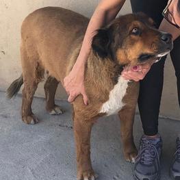 D e52e839f ee28 461f a661 1ed39bf2c880