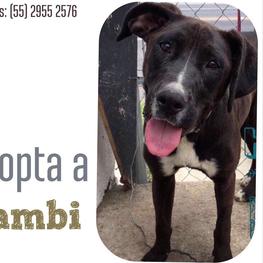 D 09a94949 0563 47cd 8117 c5db991842df