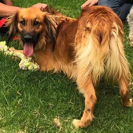 D ddb09c24 bf3d 46b6 b6df e42b0f1f9219