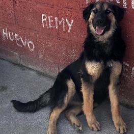 D 2b0fe0eb a948 44c1 b54e a30f5a0baf3b