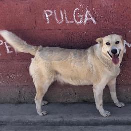 D eaa4cbc3 1d48 4472 b193 51004a0bc16a