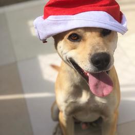 D 0fd9213c a166 4c6d 8a9f 23a0922c901e