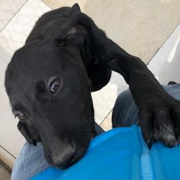 D 48720a10 3d27 4f7f 81c6 7bb4d49a66e4