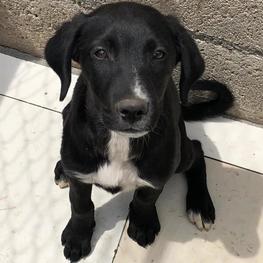 D ee891796 b02f 4241 9ec3 0bb891e5d548