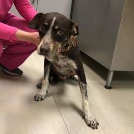 D dde19436 5591 448d a41d 4963f8f883dc