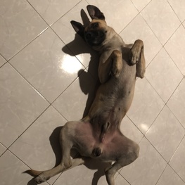 D 0e5947ed 5c07 431d b6f9 179fb1732d1f