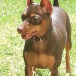 D 5d737fd0 b9a3 483a a891 1523882ba6ab