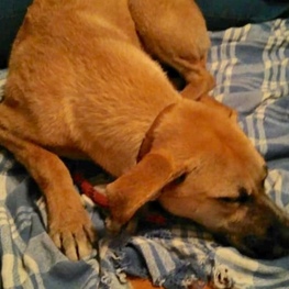 D 7caf0711 c356 4b72 8dd3 a7188c970ee0