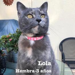 D fc012058 6330 43b3 8e24 07b45b5ef54c