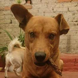 D 01f500a5 f426 4a07 9e6d 70f0ebbd4917