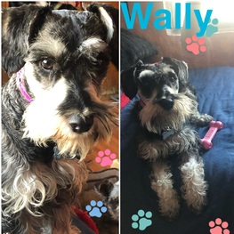 D 1ca2f739 cebf 44fc af70 3317401127d8