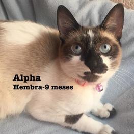 D fa7d6466 ada3 4b9b ae35 a4e137e8a45a