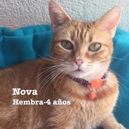 D 2b5609e5 1ba5 4d2d 85dc f98b613ee8da