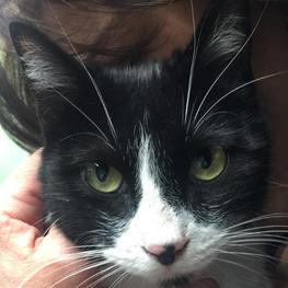 D df902116 2c18 49bf b62c ff0eb30c0b8e