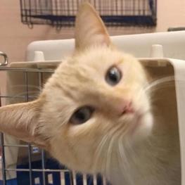 D 8149db19 25f4 493f 9ed2 2d364a249bb7