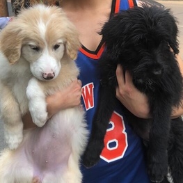 D 9c90a68b 90d1 4ff2 9200 8301e6df8d72