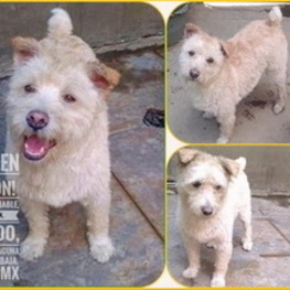 D 2eecdf15 d159 440d ae03 431f8c4dcd57