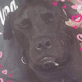 D 913d47c5 f089 490a befd a6800becb743