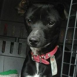 D d54a6942 fe70 4041 93c6 b70a86579cb6