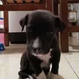 D 4221a06f fd70 4c21 a705 727c63c2f497